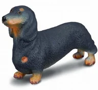 Pozostałe książki - Pies rasy jamnik - miniaturka - grafika 1