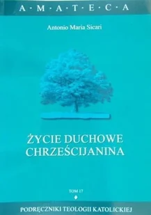 Życie duchowe Chrześcijanina Tom 17 - Religia i religioznawstwo - miniaturka - grafika 1