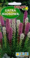 Nasiona i cebule - Liatra Kłosowa mieszana 0.5 g POLAN - miniaturka - grafika 1