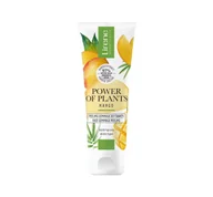 Peelingi i scruby do twarzy - LIRENE Power Of Plants Peeling Do Twarzy Mango 75ml - miniaturka - grafika 1