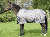 Derki dla konia - BUSSE Derka padokowa ASTANA LIGHT 100g 1680D - miniaturka - grafika 1