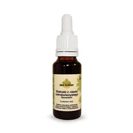 Suplementy naturalne - Medi-Flowery Ekstrakt z Rdestu ostrokończystego - suplement diety 20 ml - miniaturka - grafika 1