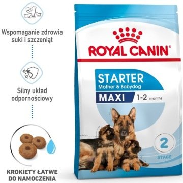 Royal Canin Maxi Starter Mother&Babydog 4 kg