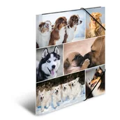 Teczki i skoroszyty - Herma Teczka A4 19211 19211 - miniaturka - grafika 1