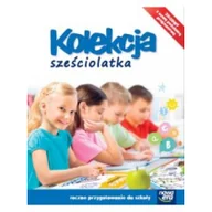 Edukacja przedszkolna - Kolekcja 6-latka BOX Edukacja przedszkolna - Praca zbiorowa - miniaturka - grafika 1