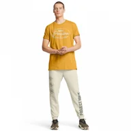 Spodenki męskie - Męskie spodnie treningowe Under Armour Project Rock Hwt Pant Tools - beżowe - miniaturka - grafika 1