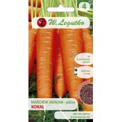 Nasiona i cebule - Legutko Marchew KORAL - miniaturka - grafika 1
