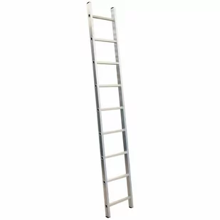Drabina opieralna AWTOOLS, 9 stopni, 150 kg - Drabiny - miniaturka - grafika 1