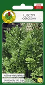 Nasiona i cebule - LUBCZYK OGRODOWY ZIOŁA NASIONA ZIÓŁ BEZ GMO - miniaturka - grafika 1