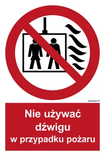 BB020 NIE UŻYWAĆ DŹWIGU W PRZYPADKU POŻARU, TS - PŁYTA TD FOTOLUMINESCENCYJNA; (200X296MM) - Systemy ekspozycyjne i znaki informacyjne - miniaturka - grafika 1