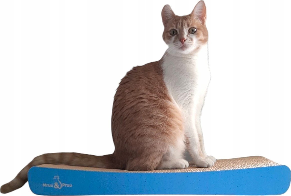 Drapak dla kota niebieski SIGMA 58x6.6x24 cm MruuPruu