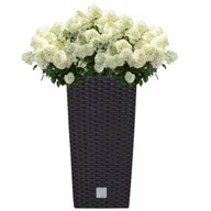 Donice - Doniczka wysoka wkład rattan 32,5x32,5x61 cm antracytowy - miniaturka - grafika 1