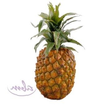 Mix Ananas - Granat, pojemnik PP 180g