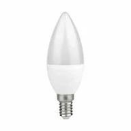 Żarówki LED - Żarówka Led 7W E14 C37 Świeczka. Barwa: Ciepła Eko-Light - miniaturka - grafika 1