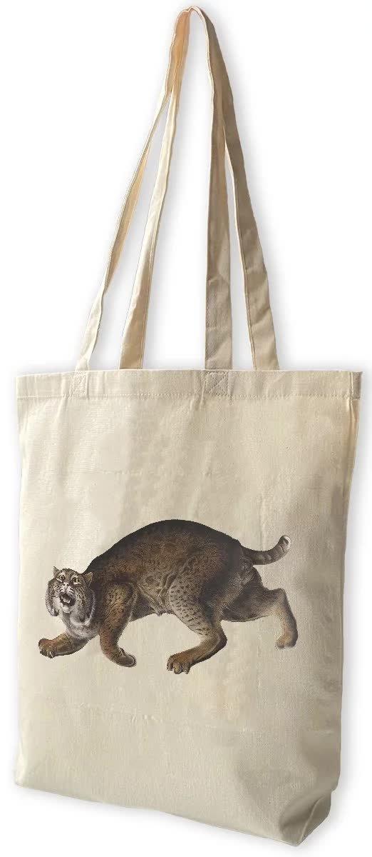 Torba bawełniana Common American Wildcat James Audubon