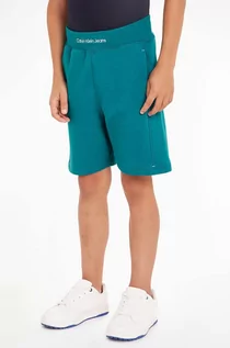 Spodnie i spodenki dla chłopców - Calvin Klein Jeans szorty dziecięce kolor zielony - grafika 1
