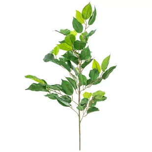 Sztuczna gałązka Fikusa, 62 cm - Sztuczne kwiaty - miniaturka - grafika 1