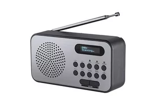 Thomson RT225DAB Srebrny - Radia - miniaturka - grafika 1