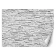 Fototapety - Fototapeta, Mur z białych kamieni (Rozmiar 400x280) - miniaturka - grafika 1