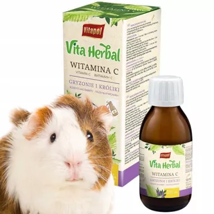 Vitapol Vita Herbal Witamina C dla gryzoni i królika 100 ml - Witaminy i odżywki dla gryzoni - miniaturka - grafika 1