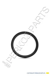 NEW HOLLAND CASE O-RING CASE CNH 82019813 82019813 - Części i akcesoria do maszyn rolniczych - miniaturka - grafika 1