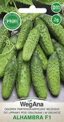 Nasiona i cebule - Ogórek Alhambra Partenokarpiczny (F1) 2g nasiona - WegAna - miniaturka - grafika 1