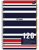 Szkolne artykuły papiernicze - Inter-druk Kołozeszyt B5 120k. PP 75g kolorowe przekładki kratka ZG51INT - miniaturka - grafika 1