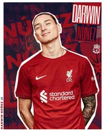 Podkładki pod mysz - PODKŁADKA POD MYSZ Nadruk 22x18cm Darwin Nunez Liverpool FC Tekst Prezent - miniaturka - grafika 1