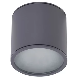 AZZARDO ALIX AZ4057 downlight natynkowy 1x50W/GU10 IP65 AZ4057 - Lampy ogrodowe - miniaturka - grafika 1