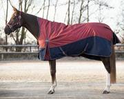 Derki dla konia - Derka padokowa High Neck 150g 600D AW 22/23 - QHP - saddlery - miniaturka - grafika 1