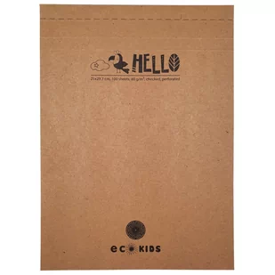 Notatnik Roller Flexi Eco Kids 100 Kartek A4 W Kratkę - Notesy i bloczki - miniaturka - grafika 1