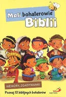 Dewocjonalia - Edycja Św. pawła Mali bohaterowie Biblii Memory i zgadywanki Nowy Testament - karty 5907564027588 - miniaturka - grafika 1