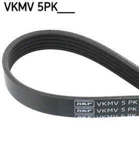SKF Pasek klinowy wielorowkowy VKMV 5PK884 - Mechanizmy rozrządu - miniaturka - grafika 1
