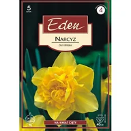 Nasiona i cebule - Narcyz pełny Dick Wilden 5 sztuk Eden - miniaturka - grafika 1