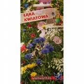 Nasiona i cebule - Mieszanka kwiatów łąkowych 2g / O / - miniaturka - grafika 1