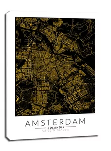 Amsterdam złota mapa - obraz na płótnie Wymiar do wyboru: 50x70 cm - Obrazy i zdjęcia na płótnie - miniaturka - grafika 1