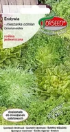 Nasiona i cebule - nasiona Endywia mieszanka odmian 2g - Torseed - miniaturka - grafika 1