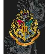 Koce i narzuty dla dzieci - Halantex Koc Polarowy Harry Potter HP-8168FB 38769 - miniaturka - grafika 1