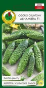 Nasiona i cebule - Ogórek konserwowy Alhambra F1 2 g PNOS - miniaturka - grafika 1