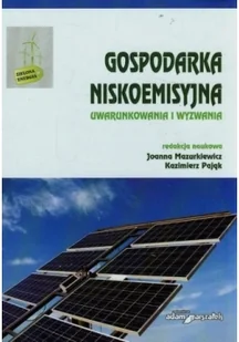 Gospodarka niskoemisyjna. Uwarunkowania i wyzwania - Ekonomia - miniaturka - grafika 2