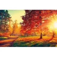 Kalendarze - Terminarz ścienny MICHALCZYK I PROKOP 2023 /T-107S-3/ - miniaturka - grafika 1