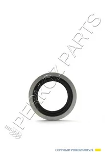 KVERNELAND Podkładka uszczelniająca KK011585 KK011585 - Części i akcesoria do maszyn rolniczych - miniaturka - grafika 1