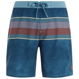 Spodenki męskie Protest PRTASPRI beachshort PROTEST L - Spodenki męskie - miniaturka - grafika 1