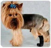 Specjalistyczne artykuły dla zwierząt - Grande Finale But na chorą łapę r.4 - 8cm 5988 - miniaturka - grafika 1