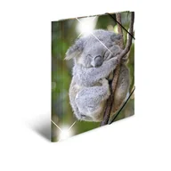 Teczki i skoroszyty - Teczka plastikowa, A3 z gumkami, z lśniącą powierzchnią, Koala - miniaturka - grafika 1