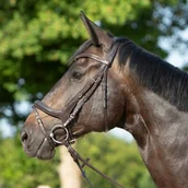 Ogłowia - Kieffer Ogłowie Ultrasoft CELIA - miniaturka - grafika 1