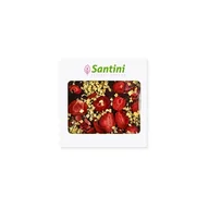 Żelki - Santini Czekolada 72% kakao z truskawkami. bez cukru. z ksylitolem 80 g SANTINI2 - miniaturka - grafika 1
