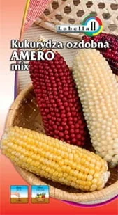 Kukurydza ozdobna Amero mix 2g / L / - Nasiona i cebule - miniaturka - grafika 1