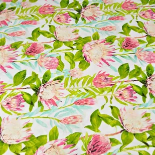 Tkanina bawełniana Kwiaty różowe protea z zielonymi liśćmi na białym tle - 220cm - Pasmanteria Tkanina bawełniana Kwiaty różowe protea z zielonymi liśćmi na białym tle - 220cm - Pasmanteria - miniaturka - grafika 1