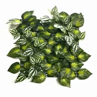 Sztuczne kwiaty - PANEL ZIELENI AUREUS 33X33 CM ŚCIANKA ZIELENI - miniaturka - grafika 1